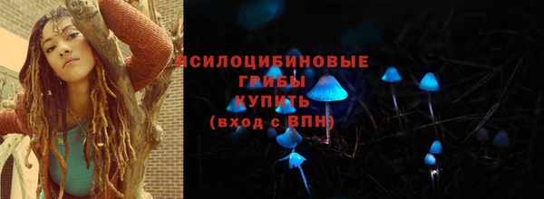 PSILOCYBIN Горнозаводск